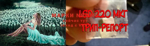 прущая мука Богородицк