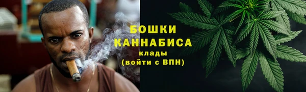 гидропоника Бородино