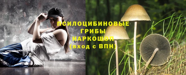 гидропоника Бородино
