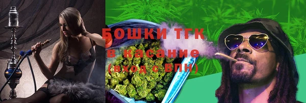 гидропоника Бородино