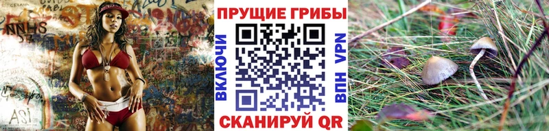 Псилоцибиновые грибы Psilocybine cubensis купить наркотик гидра ONION Нефтеюганск